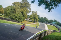 Lower Group Red Bikes